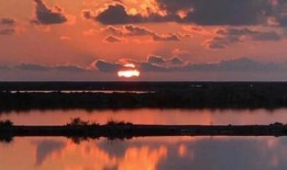 日落爆料视频大全最新,揭秘最新视频大全背后的惊人真相